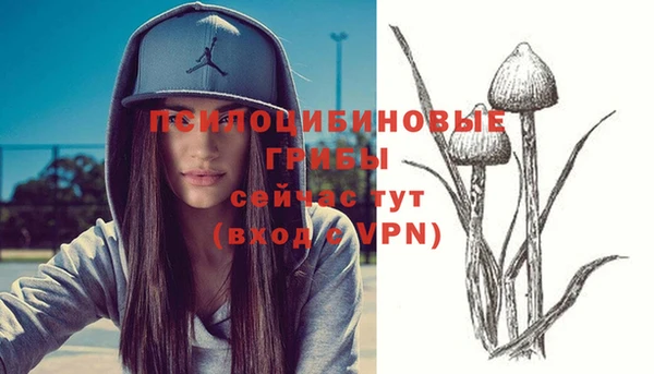 кокаин премиум Няндома