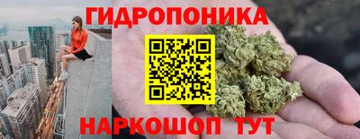 мяу мяу мука Беслан