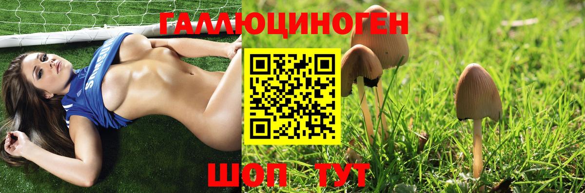 магазин продажи наркотиков  Вход с VPN  Волжский  Галлюциногенные грибы Magic Shrooms  Псилоцибиновые грибы MAGIC MUSHROOMS 